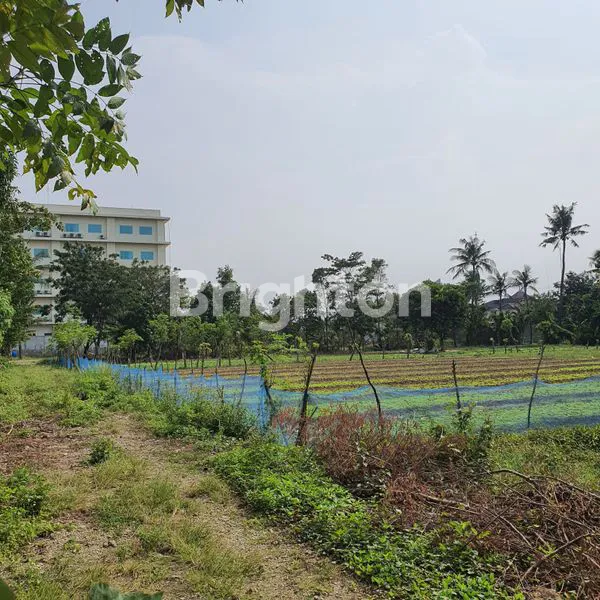 image LAHAN DATAR SIAP BANGUN (1)