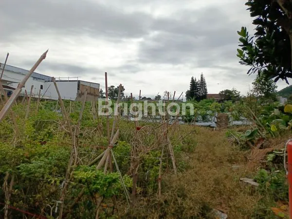 image REPOSISI HARGA 6,5 JT/M JADI 5 JT,/M TANAH KONTUR DATAR - ELEVASI DIATAS JALAN - JALAN RAYA BANDUNG LEMBANG (7)