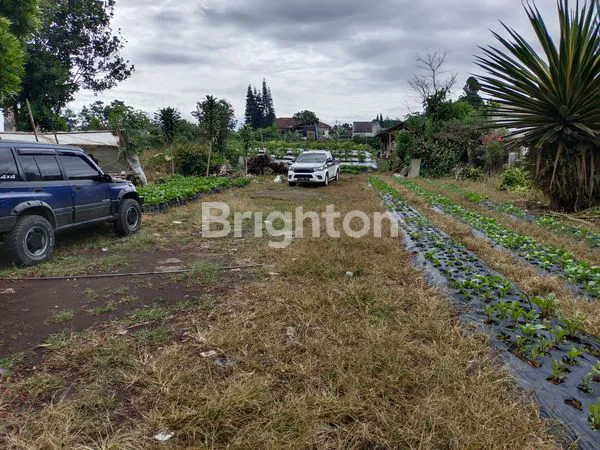 image REPOSISI HARGA 6,5 JT/M JADI 5 JT,/M TANAH KONTUR DATAR - ELEVASI DIATAS JALAN - JALAN RAYA BANDUNG LEMBANG (4)