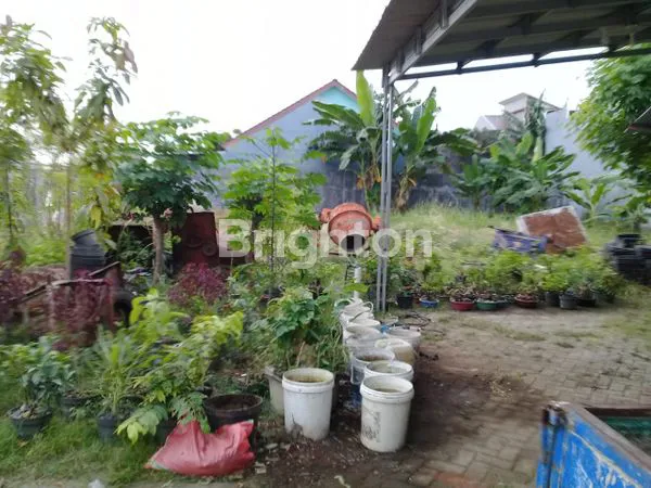 image TANAH KAVLING MURAH DI KAWASAN PERUMAHAN ALAM BUKIT RAYA III GRESIK (5)