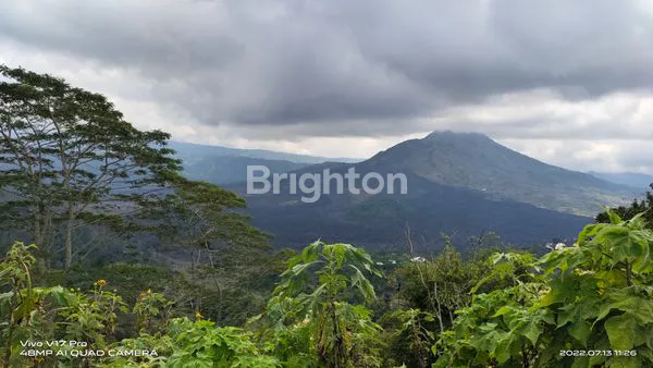 image TANAH VIEW GUNUNG DAN DANAU BATUR (1)