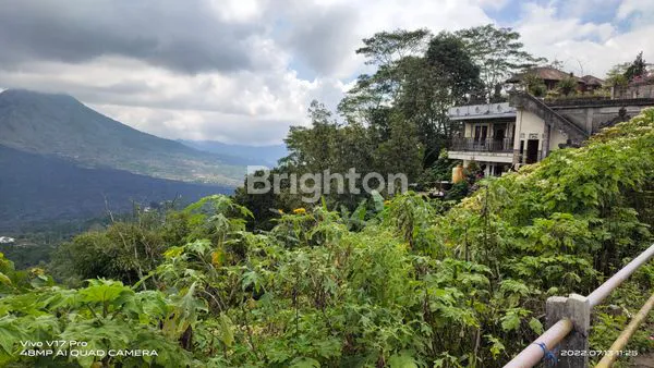 image TANAH VIEW GUNUNG DAN DANAU BATUR (4)
