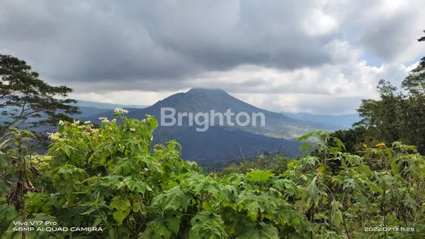 image TANAH VIEW GUNUNG DAN DANAU BATUR (3)