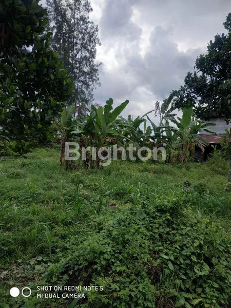 image BANGUNAN PINGGIR JALAN (5)