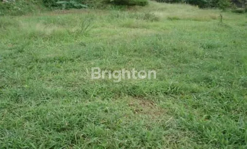 image LUXURY BUILDING AT EAST SURABAYA (4)