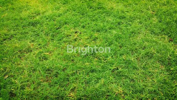 image GUDANG BARU GRESS MODERN LANGKA PELEMWATU MENGANTI SIAP PAKAI AKSES KONTAINER KOMPLEK PRIBADI HALAMAN LUAS (2)