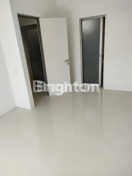 image GREENLAND CLUSTER GARBERA (2)