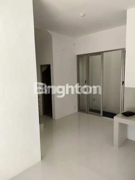 image GREENLAND CLUSTER GARBERA (3)