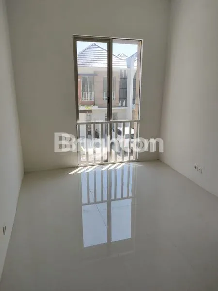 image GREENLAND CLUSTER GARBERA (4)