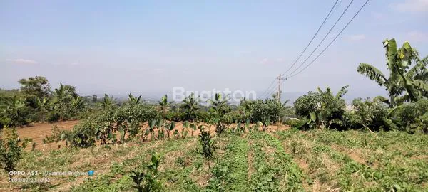 image TANAH VIEW ISTIMEWA GUNUNG PANDERMAN DAN KOTA BATU DEKAT EXIT TOL KOTA BATU (COMING SOON) (5)