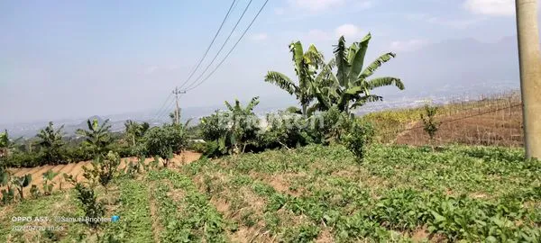 image TANAH VIEW ISTIMEWA GUNUNG PANDERMAN DAN KOTA BATU DEKAT EXIT TOL KOTA BATU (COMING SOON) (4)