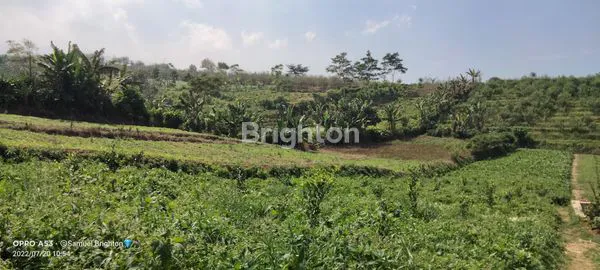 image TANAH VIEW ISTIMEWA GUNUNG PANDERMAN DAN KOTA BATU DEKAT EXIT TOL KOTA BATU (COMING SOON) (3)