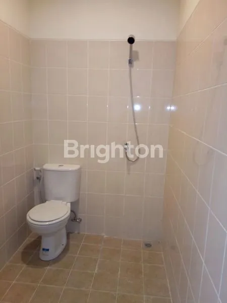 image HARVEST CITY TYPE SAKURA INDICA KANZAN (4)