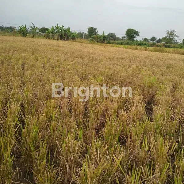 Gambar Property TANAH PAKAL SANGAT MURAHHH POULLLL DKT BUKIT PALMA