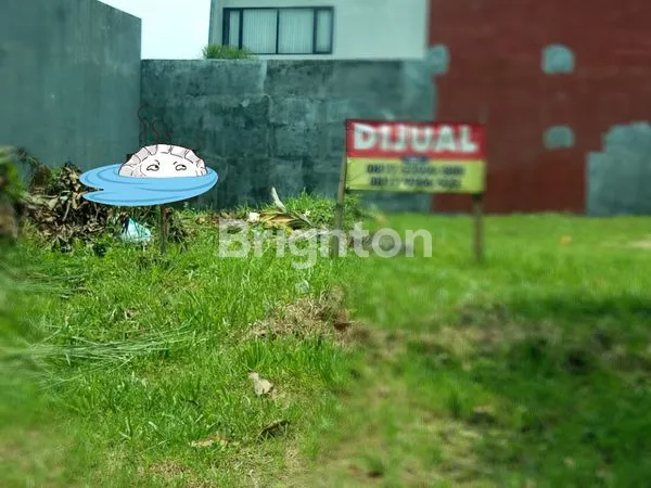 image TANAH HOOK MURAH NEW INDIE (1)