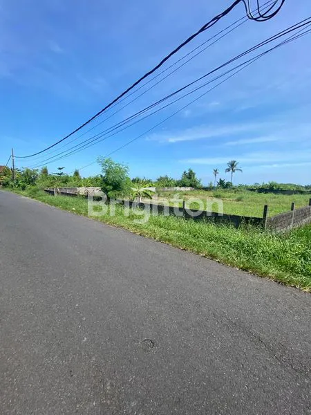 image TANAH LUAS DI SUDIMARA TABANAN (1)