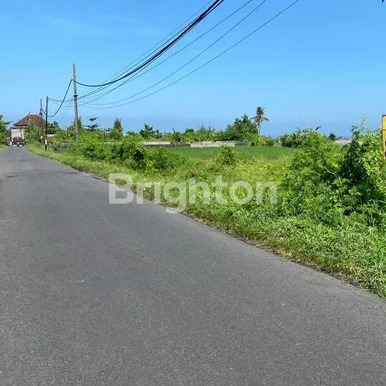 image TANAH LUAS DI SUDIMARA TABANAN (2)