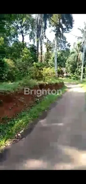 image TANAH MURAH SELUAS 10 HA DI PINGGIR JALAN LEWILIANG (4)