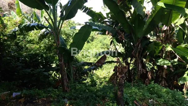 image TANAH SIAP BANGUN TANAH PUTIH VIEW SEMARANG BAWAH (2)