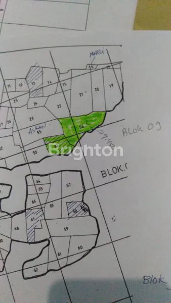 image TANAH DI JL RAYA WRINGINANOM GRESIK (1)