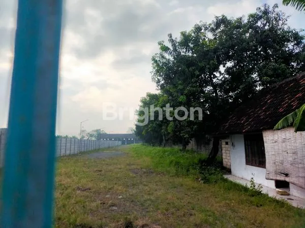 image JUAL TANAH RAYA PANCING MOJOKERTO (2)