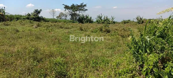 image TANAH AREA KOMPLEX PERUMAHAN DI KOTA MALANG (3)