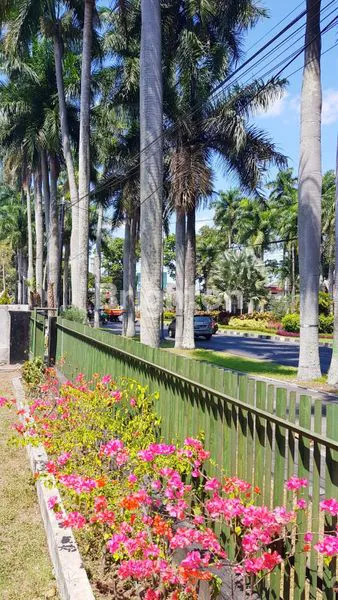 image RUMAH BELANDA JALAN BESAR IJEN BOULEVARD LINGKUNGAN ELIT PUSAT KOTA MALANG (2)