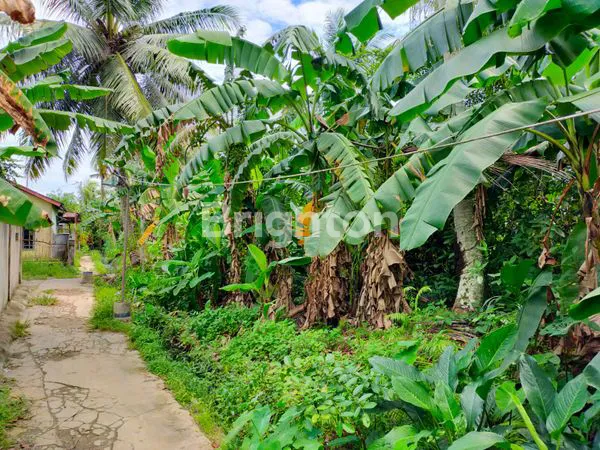 image TANAH KEBUN SINGKAWANG KALIMATAN BARAT (5)