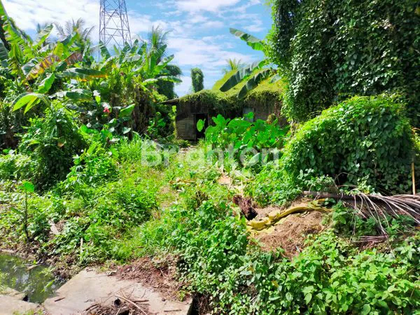image TANAH KEBUN SINGKAWANG KALIMATAN BARAT (2)