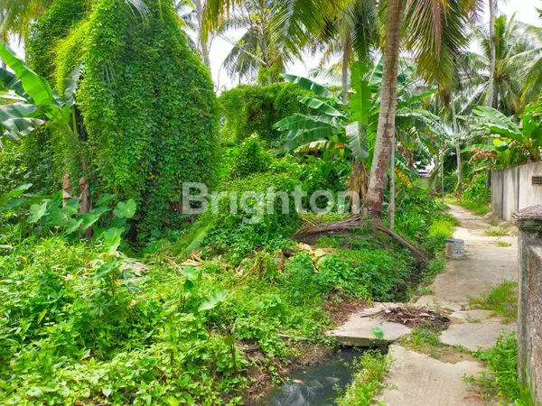 image TANAH KEBUN SINGKAWANG KALIMATAN BARAT (3)