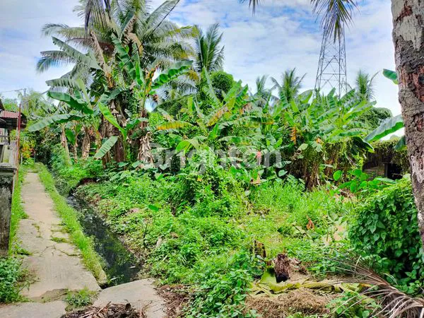 image TANAH KEBUN SINGKAWANG KALIMATAN BARAT (4)