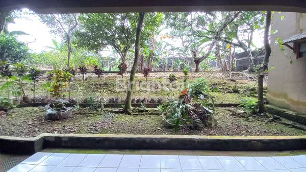 image RUMAH GUESTHOUSE DENGAN SUASANA ALAM DI CIOMAS BOGOR (4)