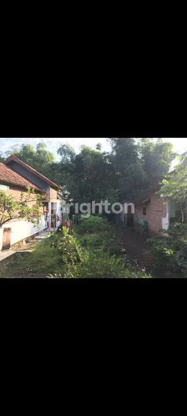 image JUAL TANAH PEKARANGAN COCOK UNTUK INVESTASI (2)
