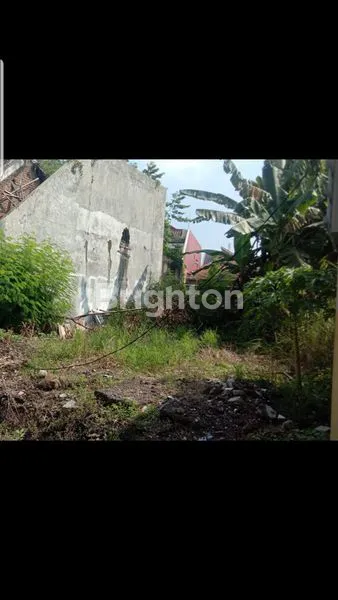 image TANAH LOKASI STRATEGIS TAMAN PINANG (2)