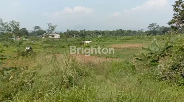 image TANAH LUAS 6,5 HEKTAR, HARGA MIRING, SEBELAH SIRKUIT SENTUL BOGOR (1)