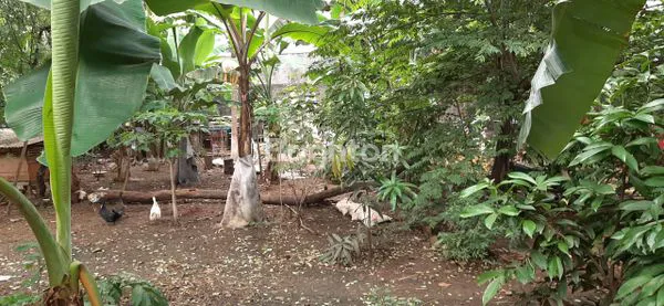 image LIMO LOW RAISE RESIDENCES SIAP RENOV JADI CLUSTER MEVVAH (6)