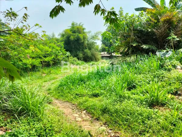 image TANAH DIADERAH PADAT DAN STRATEGIS KEMANG BARU BOGOR (6)