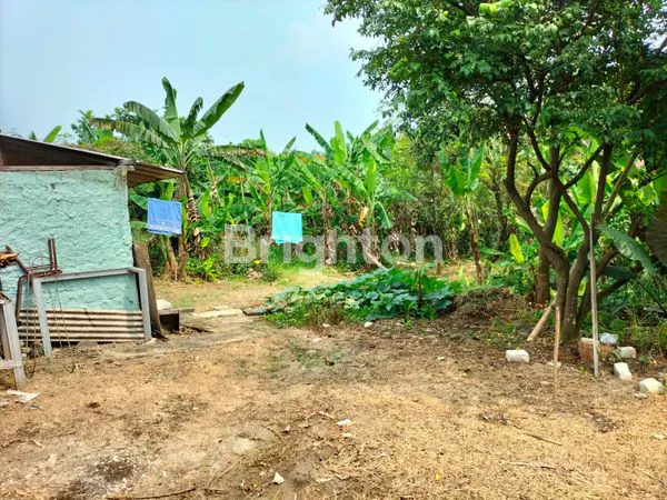 image TANAH DIADERAH PADAT DAN STRATEGIS KEMANG BARU BOGOR (5)