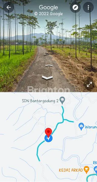 image TANAH DAN KEBUN JATI MURAH DI SUKABUMI (3)