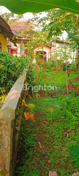 image RUMAH DENGAN HALAMAN YANG CUKUP LUAS SIAP HUNI (4)