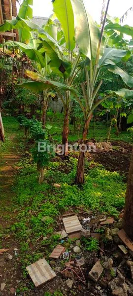 image RUMAH DENGAN HALAMAN YANG CUKUP LUAS SIAP HUNI (6)