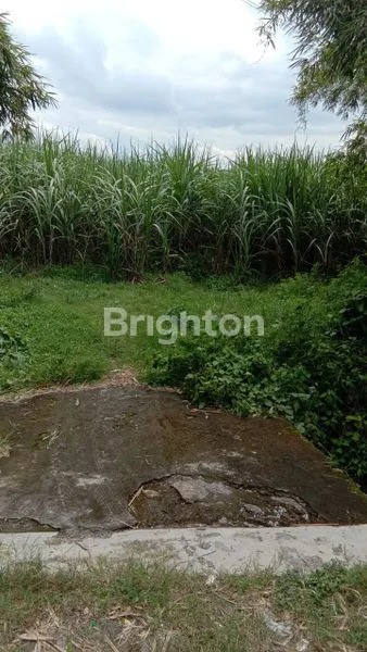 image TANAH GANG INDUSTRI KOTA KEDIRI (5)