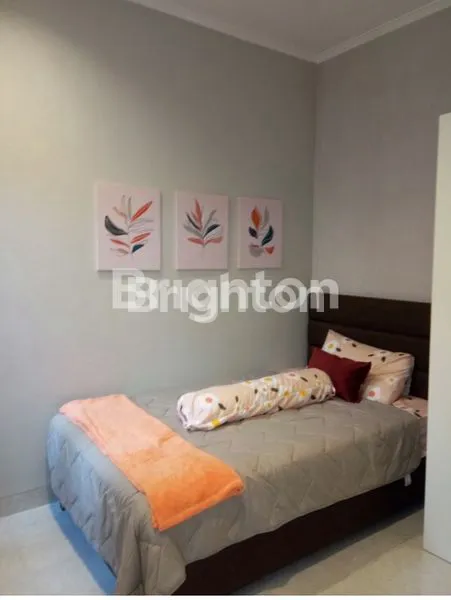 image HARVEST CITY TYPE SAKURA INDICA KANZAN (3)