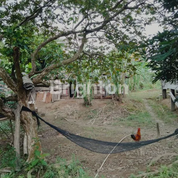 image RUKO~ LOKASI PREMIUM + TANAH LUAS  (6)