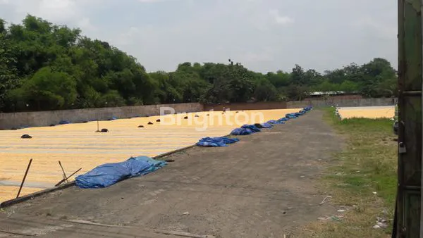 image TANAH DIJUAL LOKASI STRATEGIS (3)