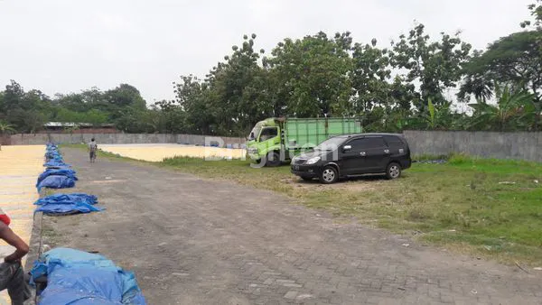 image TANAH COCOK UNTUK USAHA APA AJA (3)