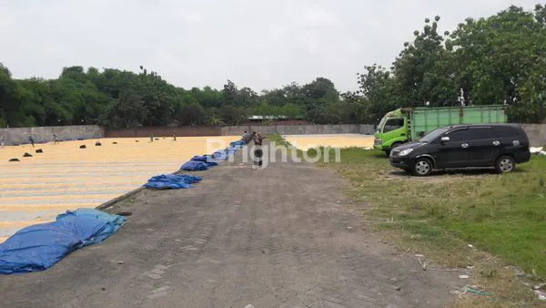 image TANAH COCOK UNTUK USAHA APA AJA (4)