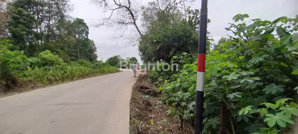 image TANAH DIPINGGIR JALAN DEKAT BANDARA APT.PRANOTO (1)