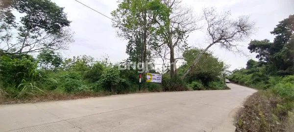 image TANAH DIPINGGIR JALAN DEKAT BANDARA APT.PRANOTO (2)