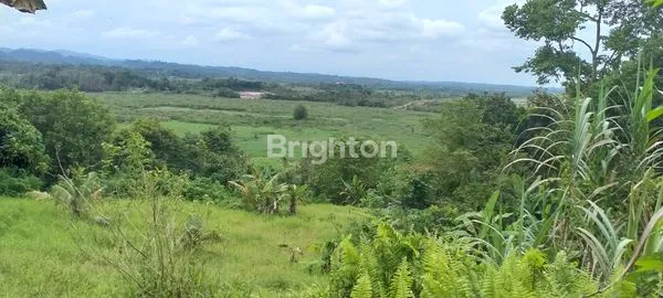 image TANAH DIPINGGIR JALAN DEKAT BANDARA APT.PRANOTO (3)